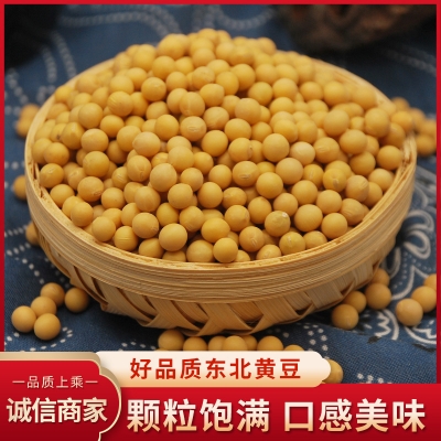 新大豆 蛋白质丰富 磨豆浆生豆芽...